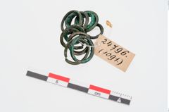 Foto von Bronzering (NHMW-PRAE-024796)